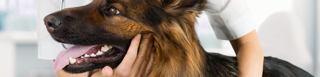 Метаболічні розлади