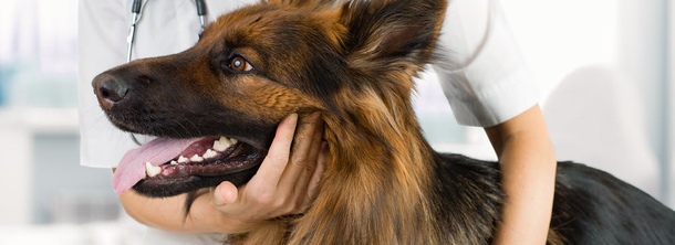 Метаболические расстройства