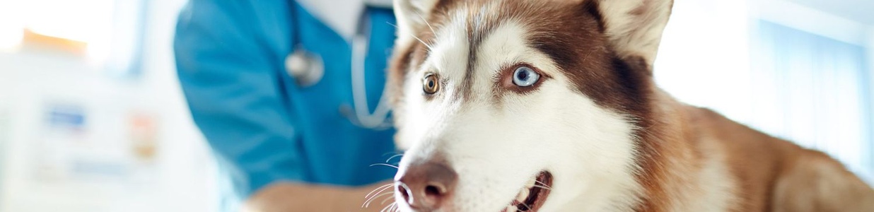 Ниркова недостатність