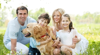 Какие домашние животные лучше всего подходят для семей с детьми?