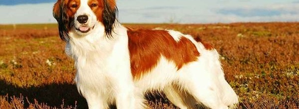 Коикерхондье