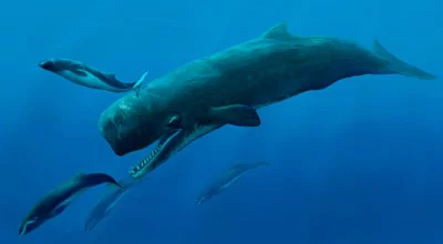 21 впечатляющий мировой рекорд, установленный животными