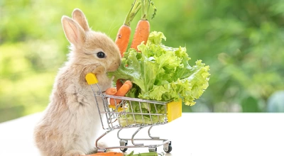 Чем кормить домашних кроликов