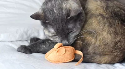 Как сделать игрушку для кота с кошачьей мятой