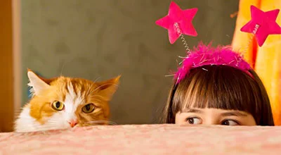 Кошки и дети: советы о том, как обезопасить друг друга