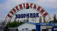 Пташиний ринок