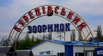 Птичий рынок