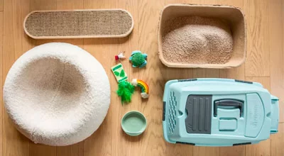 Список покупок для вашего нового кота